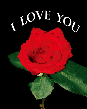 Love You Rose 3d