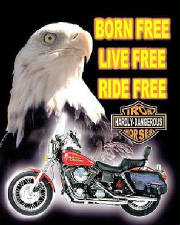 bornfree.jpg