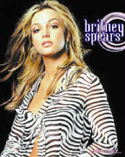britneyspearszebra.jpg