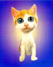 distortedkitten.jpg