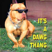 dogthang.jpg