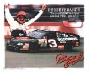 earnhardtsrperseverance.jpg