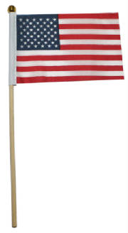 10" Plastic USA Flags