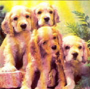 fourpuppies.jpg