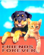 friendsforever.jpg