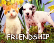 friendship.jpg