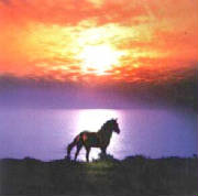 horsesunset.jpg