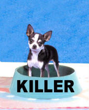killerdog.jpg
