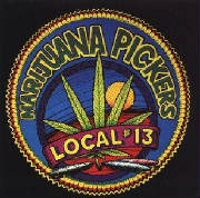 local13.jpg