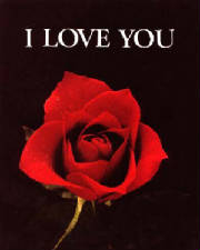 loverosered.jpg