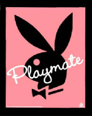 playmate.jpg