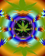 rainbowdope.jpg