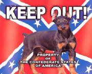 rebelkeepoutdog.jpg