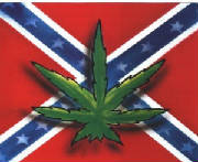 rebelweed.jpg