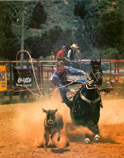 rodeo.jpg