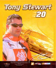 tonystewartyellow.jpg
