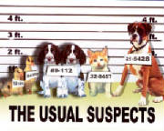 usualsuspects.jpg