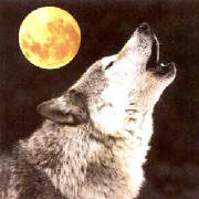 wolfmoon.jpg