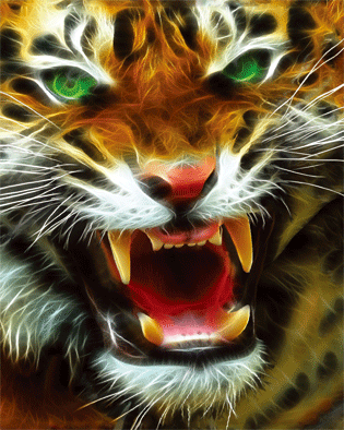 Tiger Face 3d